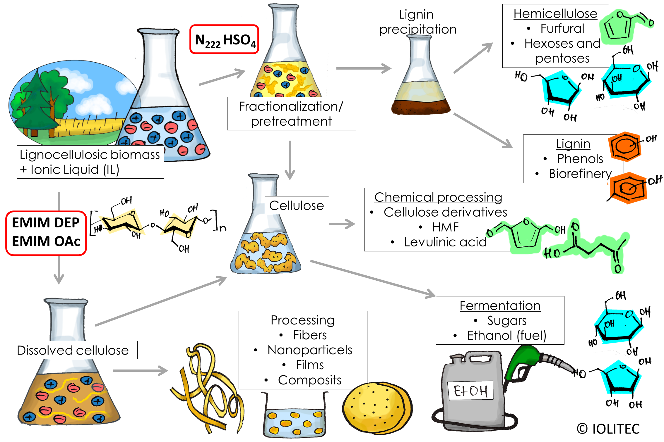 Different ways to combine ILs with biomass