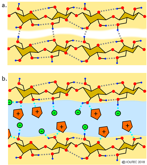 cellulose dissolution mechanism