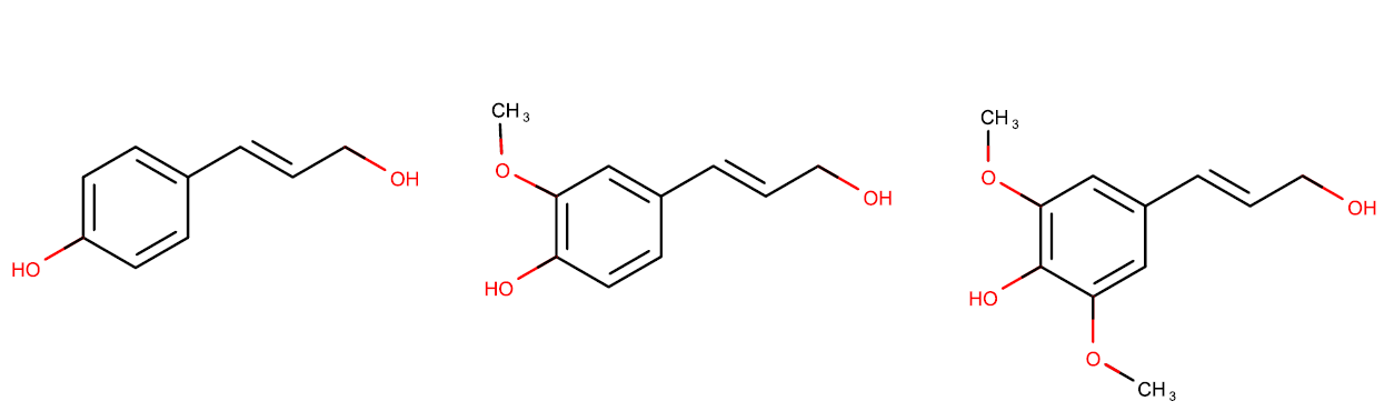 lignin monomers